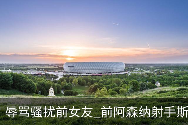 辱骂骚扰前女友 前阿森纳射手斯托克斯入狱5个月